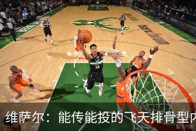 维萨尔：能传能投的飞天排骨型内线 需要大个子的球队不容错过